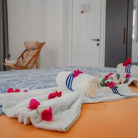 Rengin Stone House Villa *